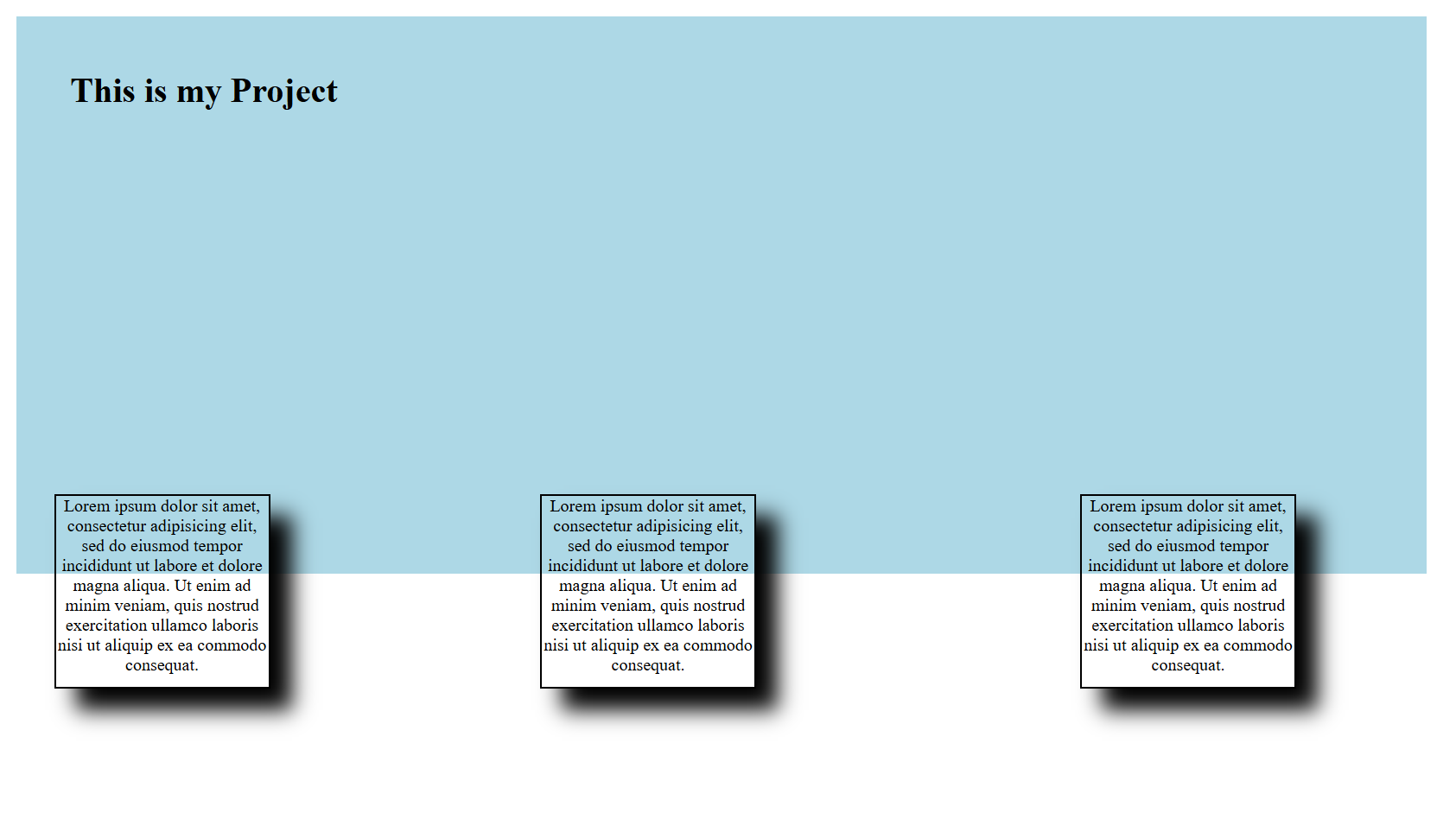 project image 7