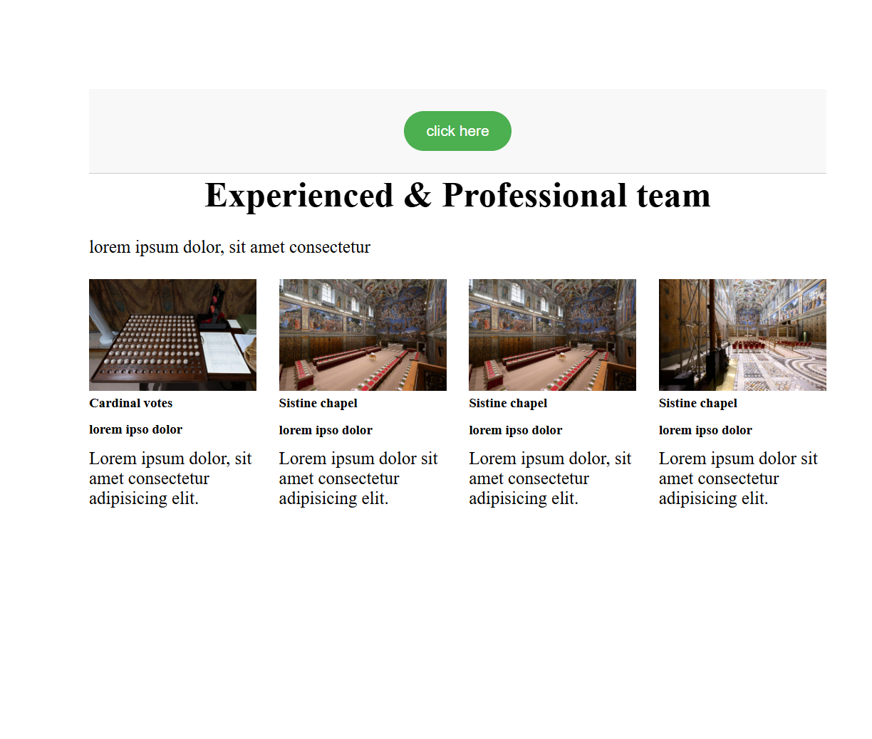 project image 13